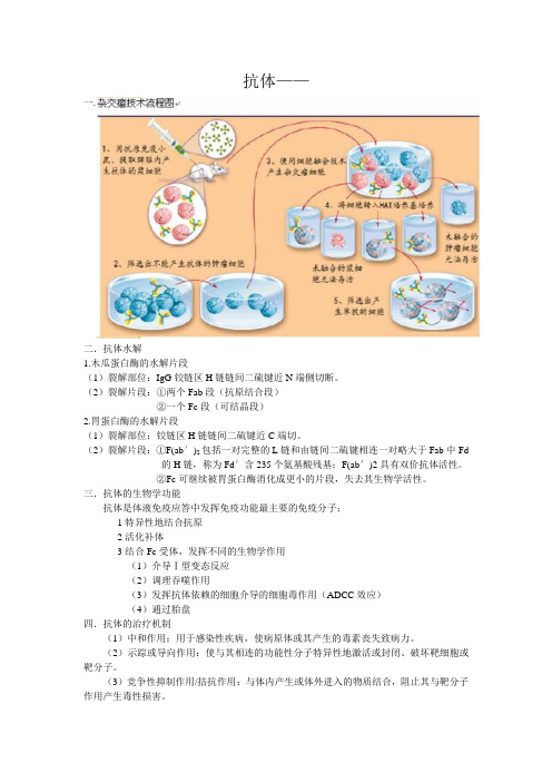 【中国药科大学】抗体·糖组学