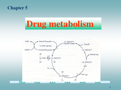 第五章药物代谢