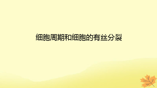 高考生物一轮复习第四单元细胞的生命历程1细胞周期和细胞的有丝分裂课件