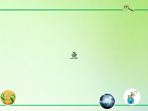 湘科版科学三年级上册鱼