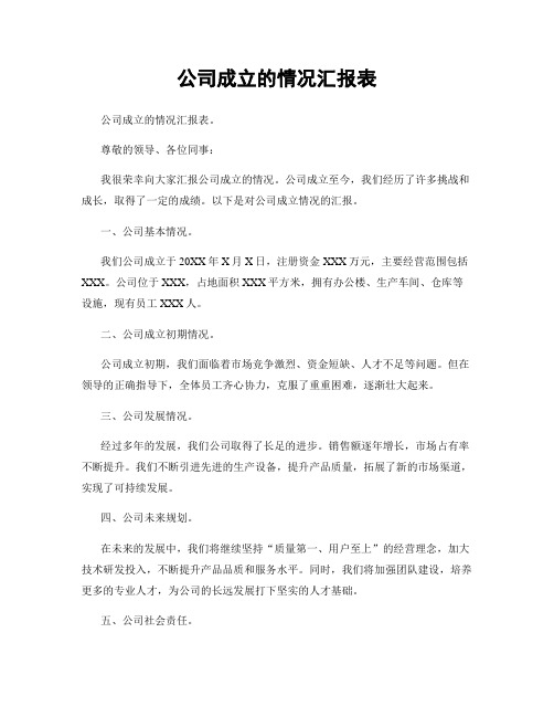 公司成立的情况汇报表