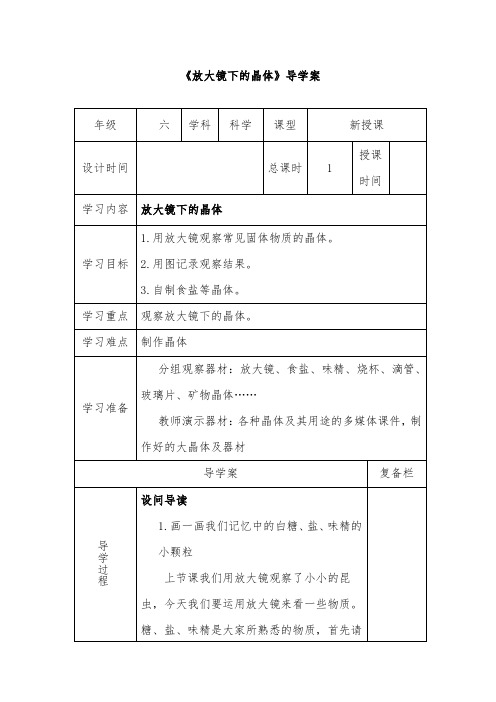 推荐精品小学科学教科版六年级下册《放大镜下的晶体》导优质学案 (1)