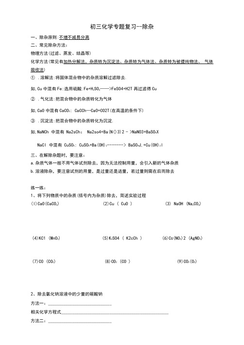 上海市2020-2021学年中考化学复习除杂专题