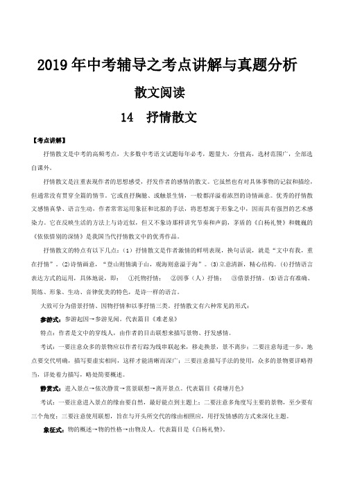 专题14 抒情散文-2019年中考语文辅导之考点讲解与真题分析(原卷版)
