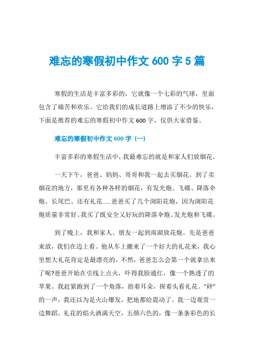 难忘的寒假初中作文600字5篇