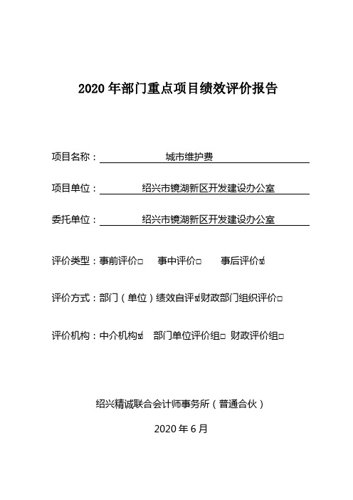 2020年部门重点项目绩效评价报告