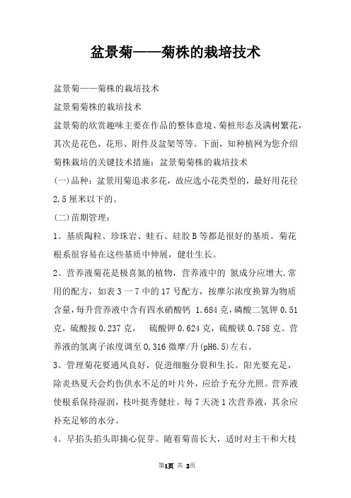 盆景菊——菊株的栽培技术