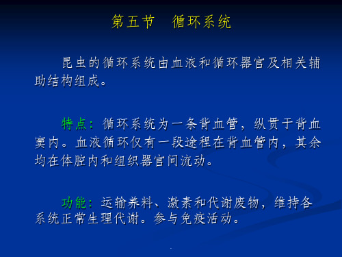 昆虫学第四章 昆虫的循环和呼吸系统