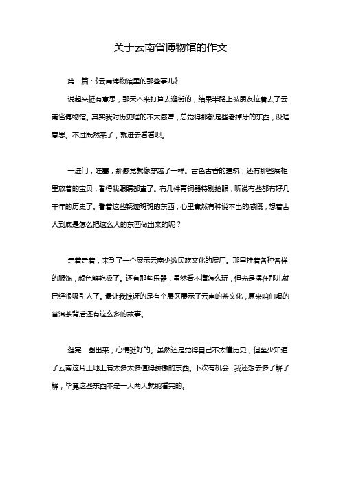 关于云南省博物馆的作文