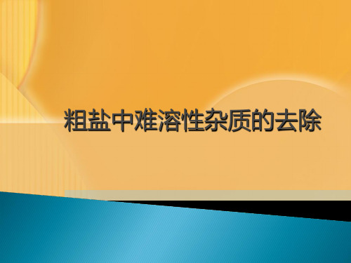 初中化学九下11.1 生活中常见的盐-粗盐中难溶性杂质的去除 课件