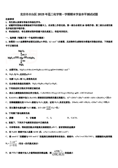 北京市丰台区2023年高三化学第一学期期末学业水平测试试题含解析