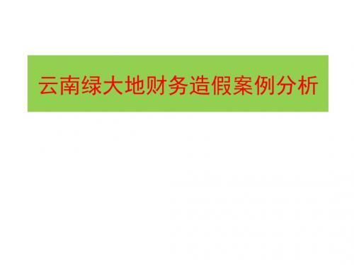 云南绿大地财务造假案例分析