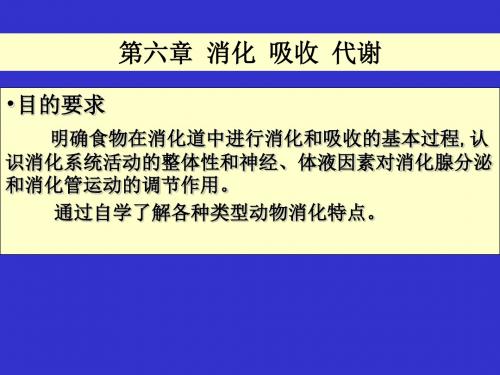 第六章消化吸收代谢