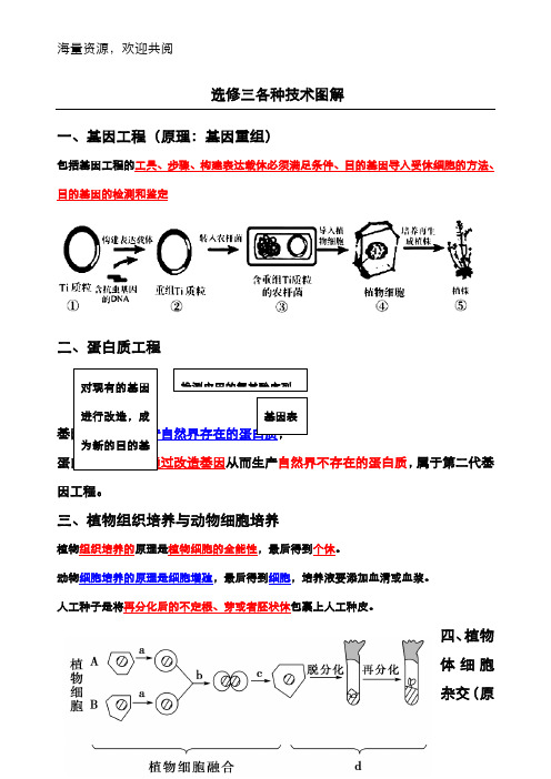 2019高中生物选修三技术图解,DOC