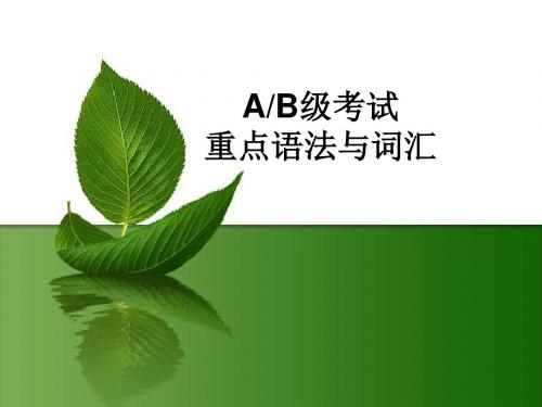 英语AB级知识点