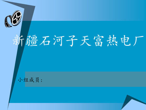 天富热电厂的清洁生产审核报告