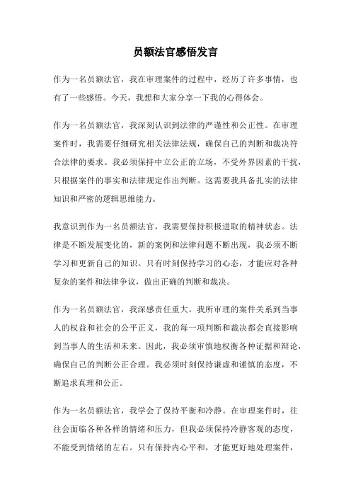 员额法官感悟发言