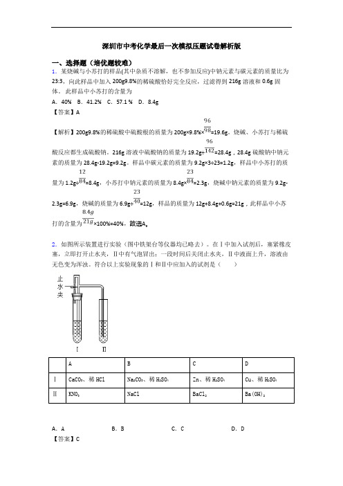 深圳市中考化学最后一次模拟压题试卷解析版