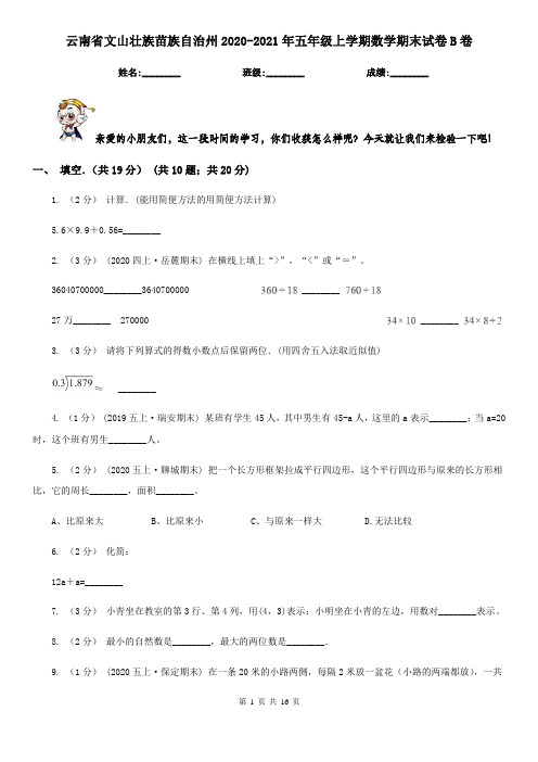 云南省文山壮族苗族自治州2020-2021年五年级上学期数学期末试卷B卷