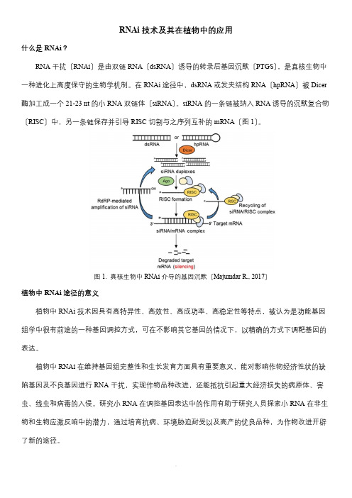 RNAi技术及其在植物中的应用 