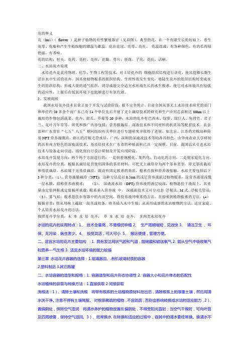 水培花卉总结