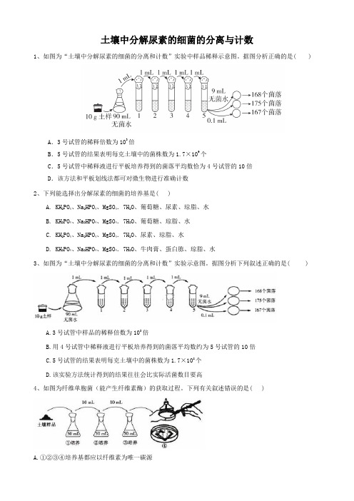 土壤中分解尿素的细菌的分离与计数作业