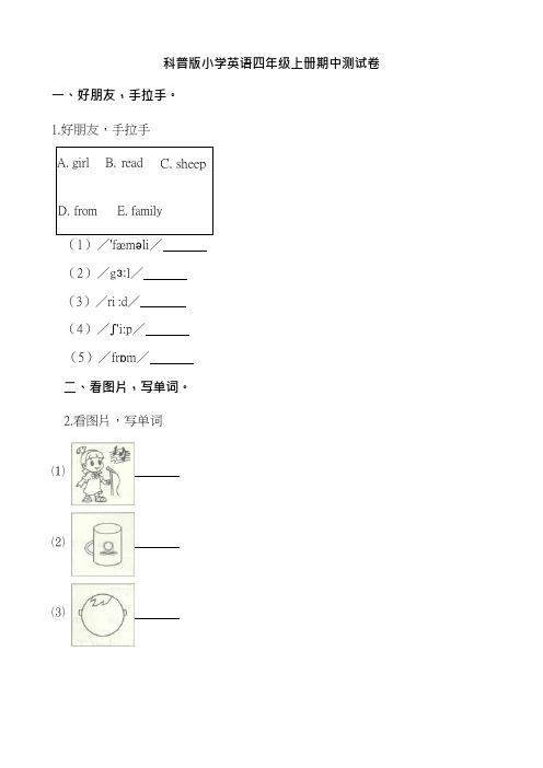 科普版四年级上册英语期中测试卷(含解析)