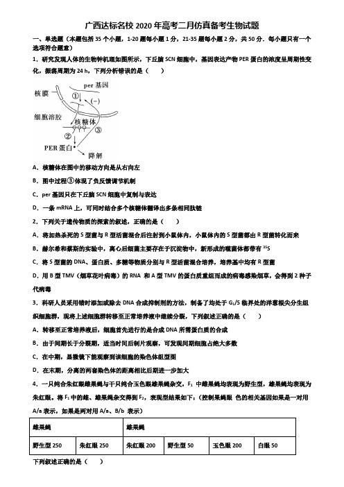 广西达标名校2020年高考二月仿真备考生物试题含解析