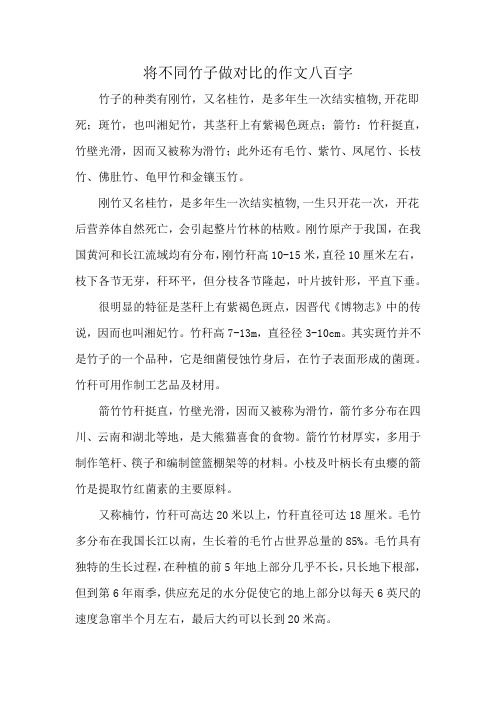 将不同竹子做对比的作文八百字