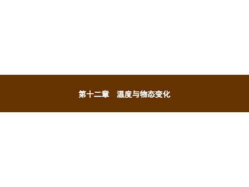 新沪科版物理九年级12.1《温度与温度计》课件