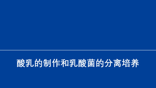 8乳酸菌的分离培养纯化学习资料