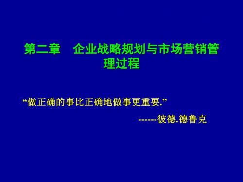 第二章 企业战略规划与市场营销管理(xiugai)