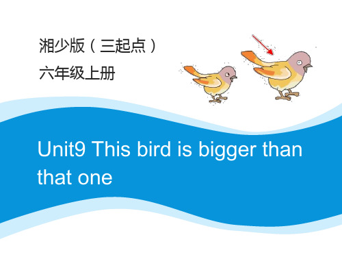 2021-2022学年六年级英语上册课件-Unit 9 This bird is bigger than that one(35)湘少版