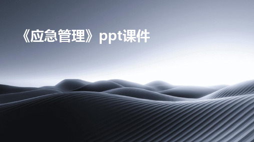 《应急管理》ppt课件