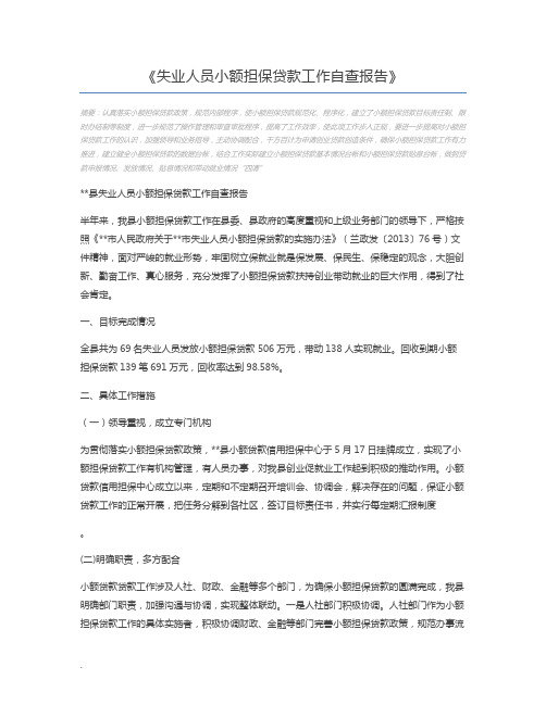 失业人员小额担保贷款工作自查报告