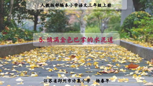 铺满金色巴掌的水泥路第2课时PPT部编本语文小学三年级上册第5课公开课教学课件