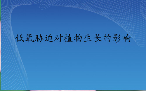 低氧胁迫对植物生长的影响