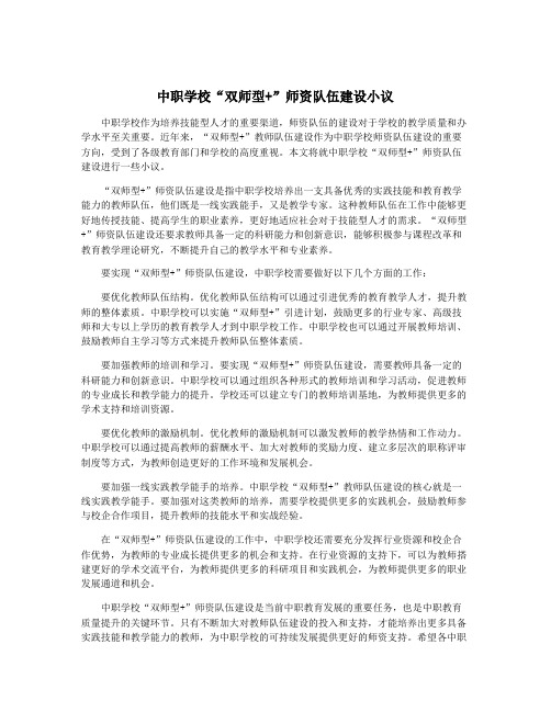 中职学校“双师型+”师资队伍建设小议