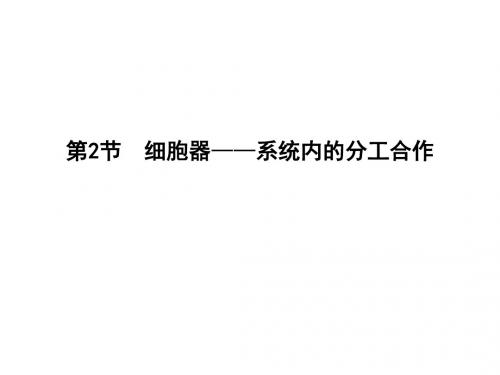 新人教版高中生物必修一课件：细胞器—系统内的分工合作