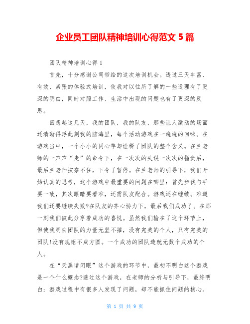 企业员工团队精神培训心得范文5篇