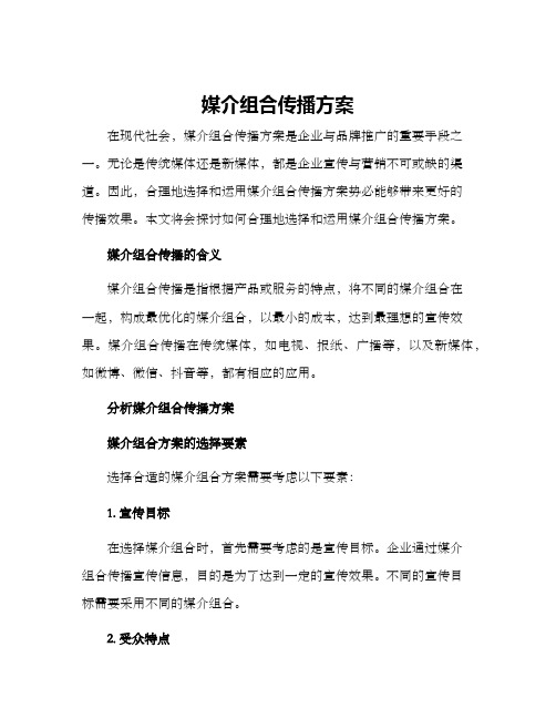 媒介组合传播方案