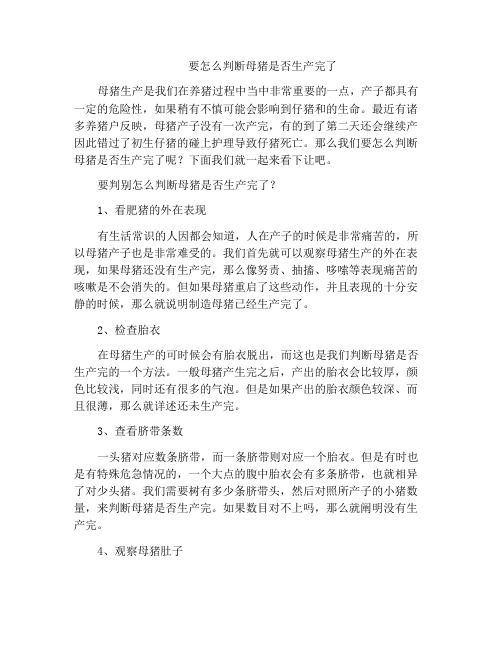 要怎么判断母猪是否生产完了