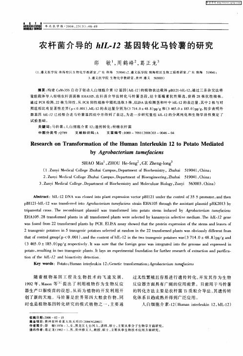 农杆菌介导的hIL-12基因转化马铃薯的研究