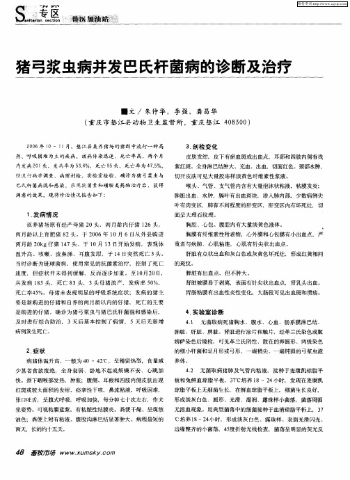 猪弓浆虫病并发巴氏杆菌病的诊断及治疗