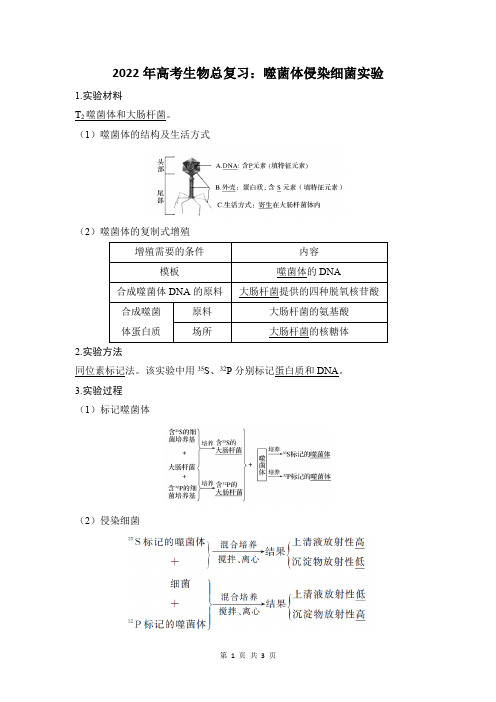 噬菌体侵染细菌实验