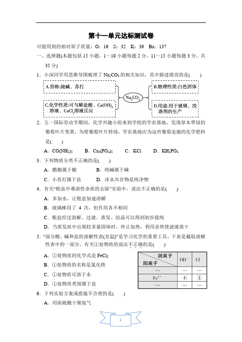 九年级化学下册-第十一单元达标测试卷(附答案)-人教版