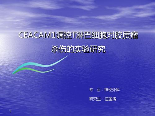 CEACAM1调控T淋巴细胞对胶质瘤ppt课件