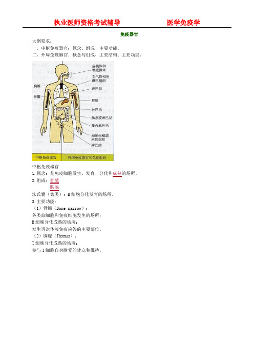 医学免疫学-医考讲义- 免疫器官