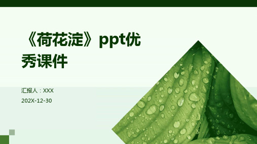 《荷花淀》ppt优秀课件