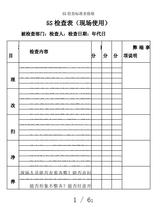 5S检查标准表格格